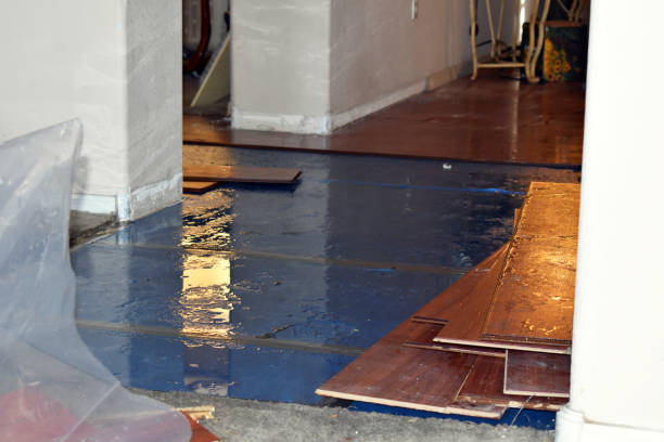 Professional Sewage Cleanup technician working in Solon, ME